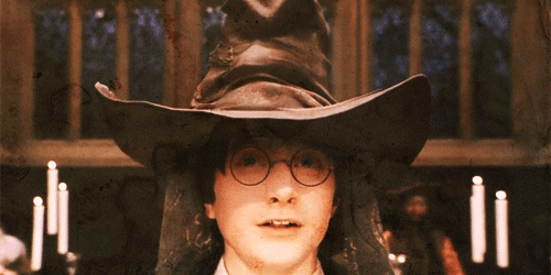 harry potter sorting hat