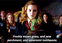 harry potter love potion