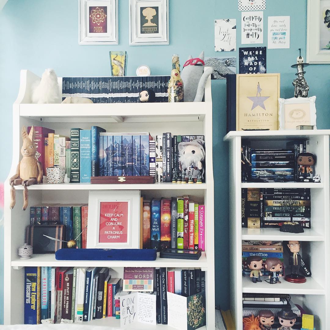 bookshelf with colorful shelves